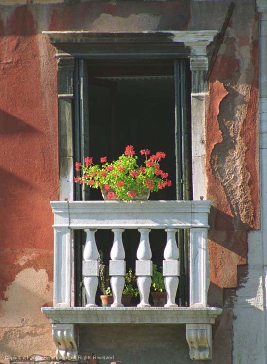 Venice window.jpg